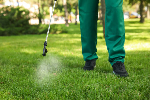Professional Pest Control in San Juan, TX
