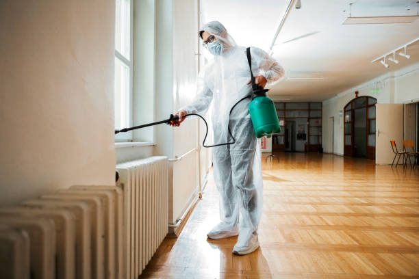 Best Best Pest Control Companies  in San Juan, TX